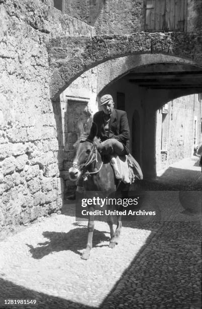 Mule Riding Photos and Premium High Res Pictures - Getty Images