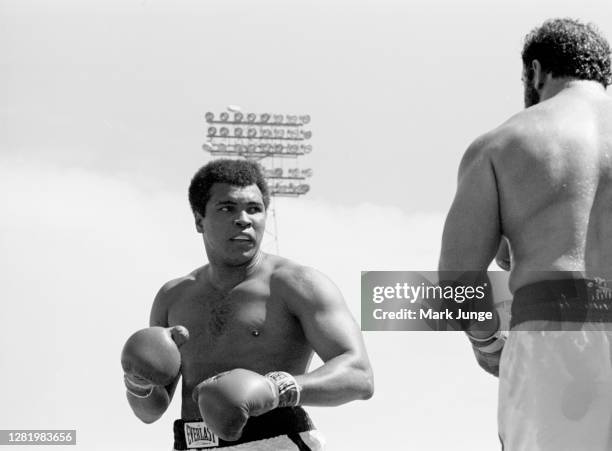 Muhammad Ali squares off against Lyle Alzado during an eight-round exhibition match at Mile High Stadium on July 14, 1979 in Denver, Colorado. Ali...