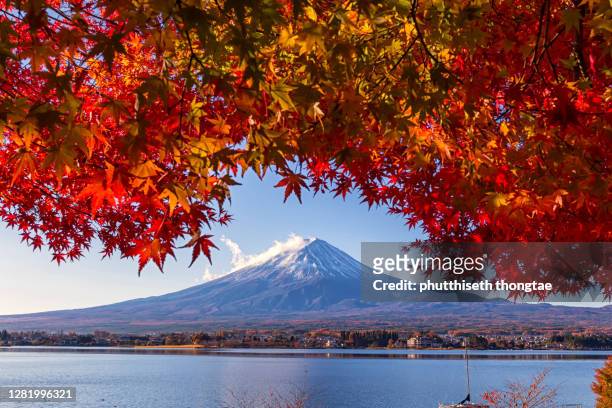 mount fuji with red maple at lake kawaguchi at sunrise in autumn, yamanashi, japan, mount fuji or fujisan located on honshu island, is the highest mountain in japan. - lake kawaguchi imagens e fotografias de stock