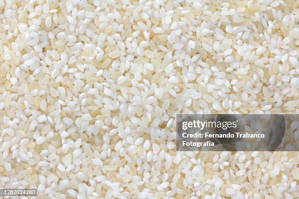 rice grains - rice stock pictures, royalty-free photos & images