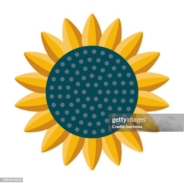 sonnenblumen-symbol auf transparentem hintergrund - sonnenblumenkerne stock-grafiken, -clipart, -cartoons und -symbole