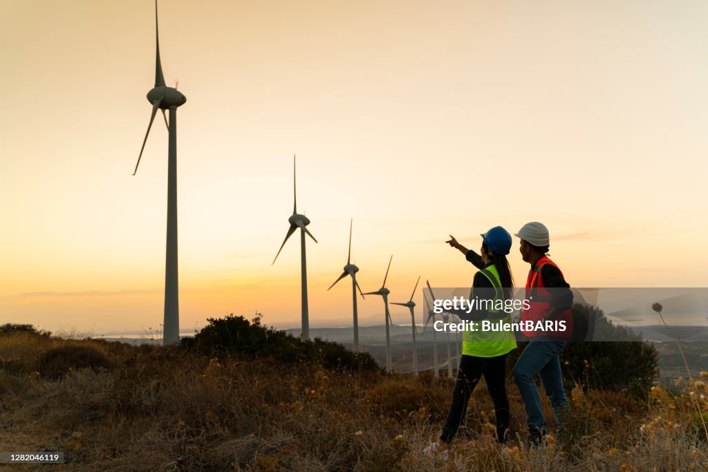 Renewable Energy Systems Engineering