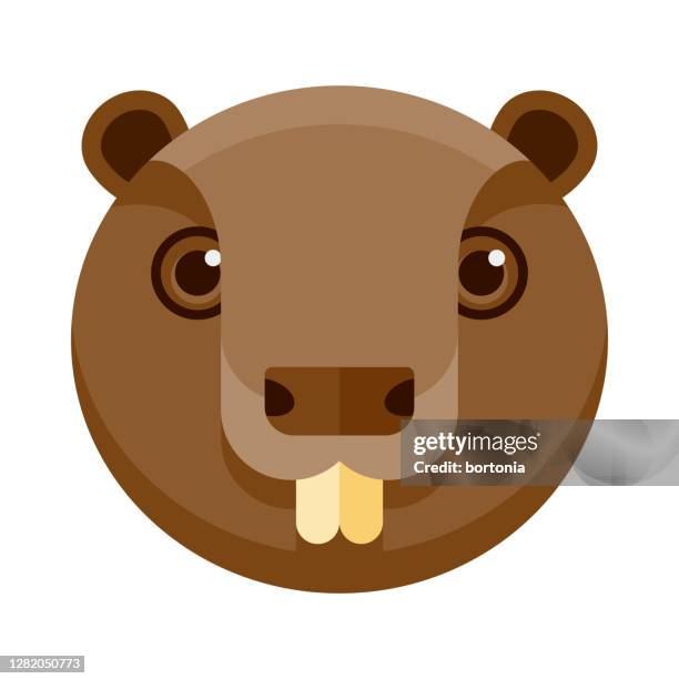 beaver icon on transparent background - beaver stock illustrations