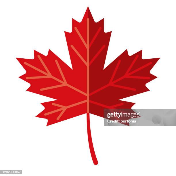 ilustraciones, imágenes clip art, dibujos animados e iconos de stock de icono de hoja de arce sobre fondo transparente - hoja de arce