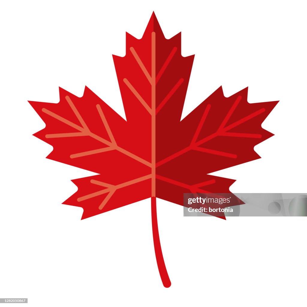 Maple Leaf Icon on Transparent Background