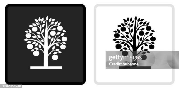 apple tree icon on  black button with white rollover - apple tree stock illustrations