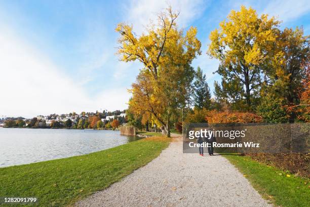 senior couple walking along lake lucerne - luzern foto e immagini stock