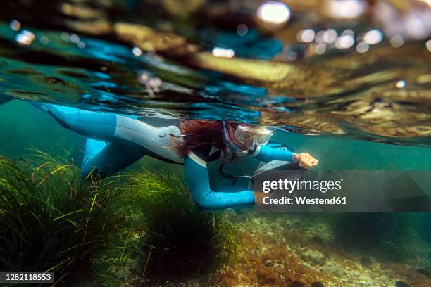 mid adult woman collecting seafood in bag while diving into sea - diving equipment stock pictures, royalty-free photos & images