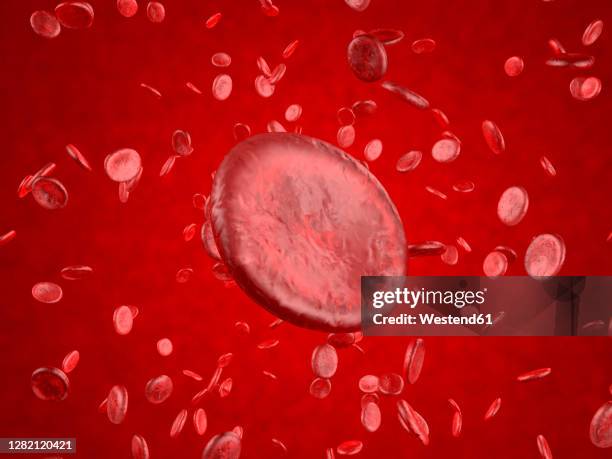 Blood Float 16 Floating Red Blood Cells Stock Photos, High-Res Pictures, and Images ...
