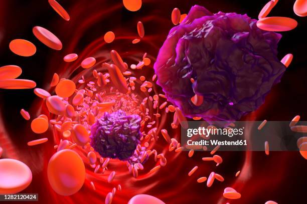 3d rendered illustration of leukemia cells in the blood stream - blood stream stock illustrations