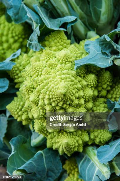 romanesco broccoli on sale at market - chou romanesco stock pictures, royalty-free photos & images