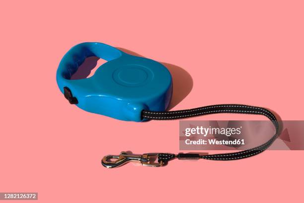 retractable pet leash on colored background - pet leash stockfoto's en -beelden