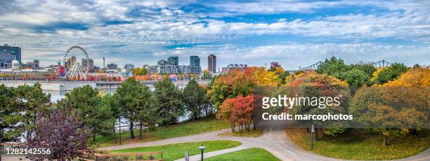autumn landscape in montreal. - montréal stock pictures, royalty-free photos & images