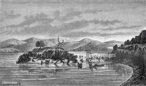 palisades island in the congo river - palisade boundary stock illustrations