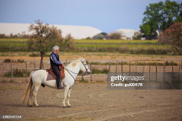 wächter und sein pferd in der camargue - camargue stock-fotos und bilder