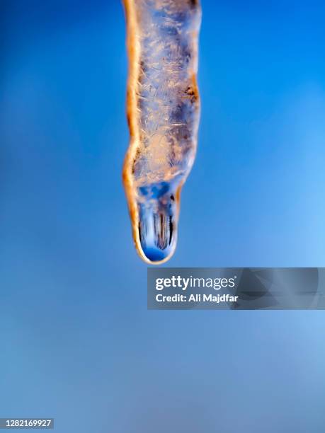 icicles everywhere - icicle macro stock pictures, royalty-free photos & images