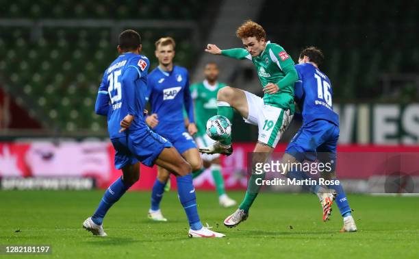 Joshua Sargent of SV Werder Bremen is challenged by Sebastian Rudy of TSG 1899 Hoffenheim during the Bundesliga match between SV Werder Bremen and...
