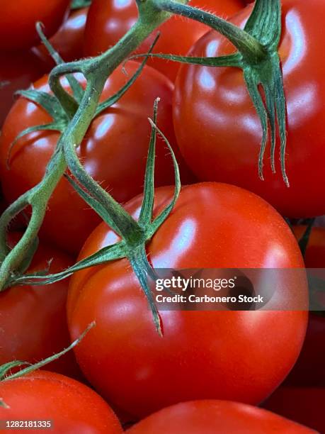 full frame close up of red tomato bunch - estudio de mercado fotografías e imágenes de stock