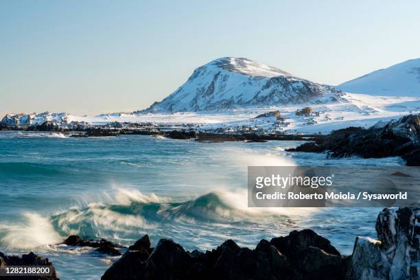 cold waves of arctic ocean, barents sea, finnmark, norway - arctic ocean foto e immagini stock