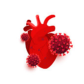Coronavirus dangerous cells infect the heart organ isolated on white background