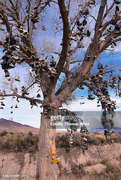'shoe tree' along highway 50, nevada - nevada stock pictures, royalty-free photos & images