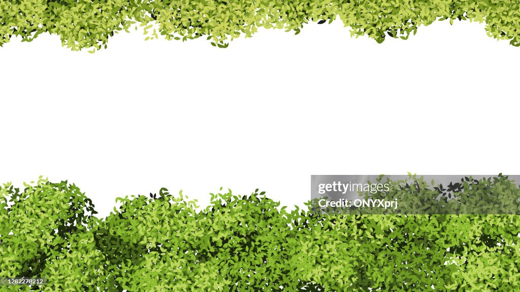 Green Foliage Pattern Isolated Tree Leaves Spring Summer Banner ...