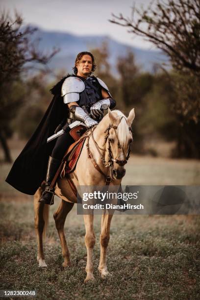 Medieval Ridingguard 1,735 Medieval Horse Armor Stock Photos, High-Res Pictures, and Images ...