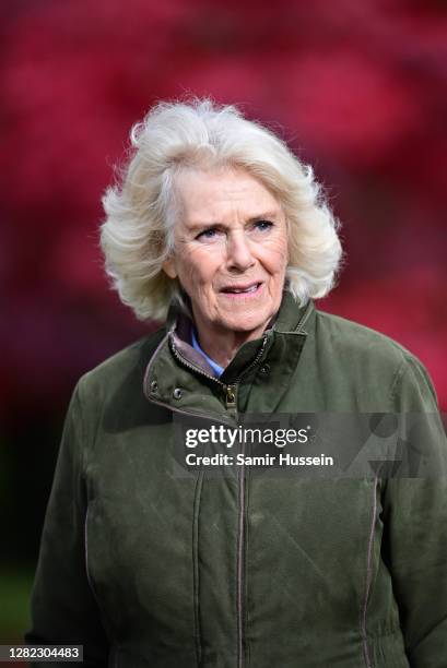 Camilla, Duchess of Cornwall during a visit to Westonbirt, The National Arboretum on October 26, 2020 in Tetbury, England. The Arboretum attracts...