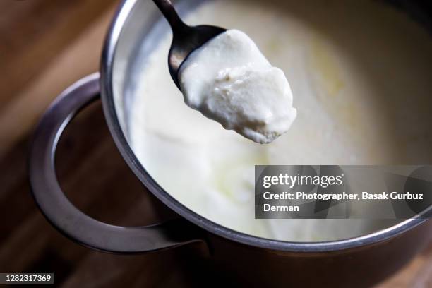 Homemade Yogurt High-Res Stock Photo