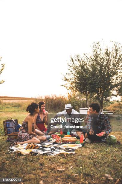 lively friends enjoying a picnic in a rural area - mexican picnic stock pictures, royalty-free photos & images