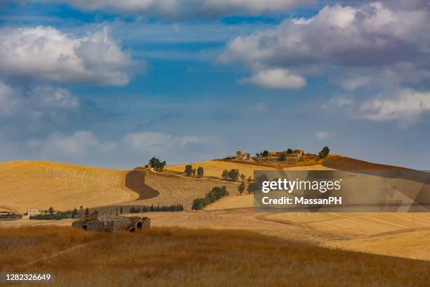 farm on a hill in the sicilian countryside, with flock of sheep and blue sky with clouds - agrigento stockfoto's en -beelden