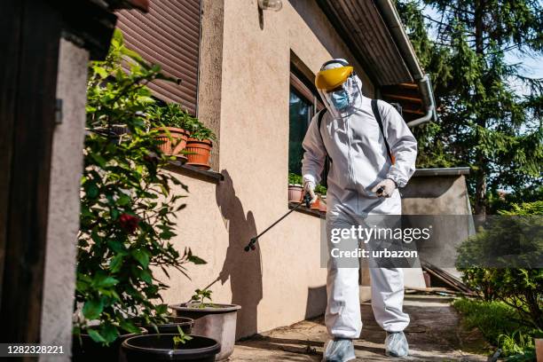 back yard disinfection for viruses - pulverizador de produto agrícola imagens e fotografias de stock