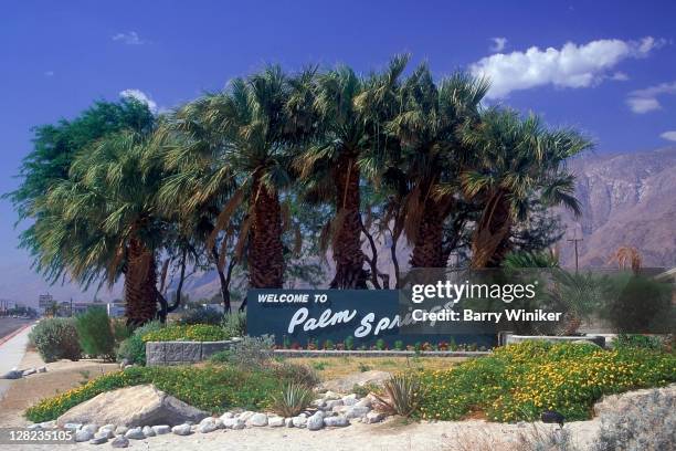 welcome to palm springs sign and palm trees, palm springs, ca - palm springs california stock pictures, royalty-free photos & images