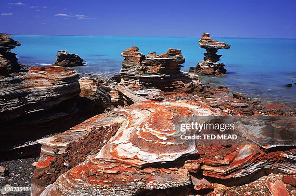 eroded rock formations, roebuck bay, on coast south of broome, wa, australia - south australia beach stock pictures, royalty-free photos & images