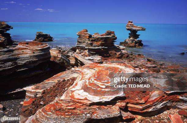 eroded rock formations, roebuck bay, on coast south of broome, wa, australia - beach western australia bildbanksfoton och bilder