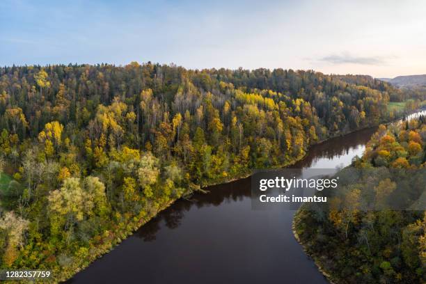 river gauja next to sigulda, latvia - latvia forest stock pictures, royalty-free photos & images