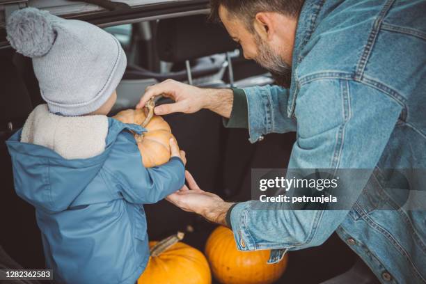 picking pumpkins for halloween - halloween covid stock pictures, royalty-free photos & images