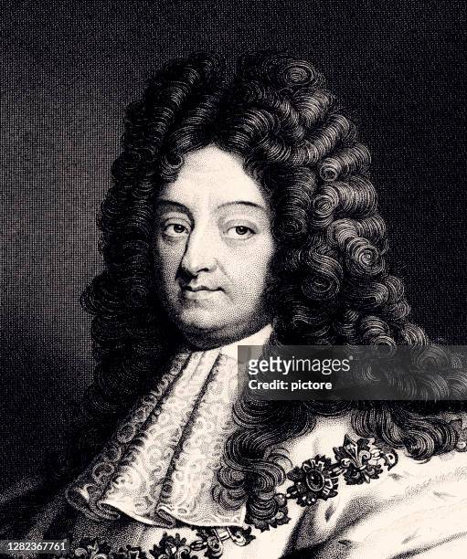 louis xiv (xxxl with lots of details) - wig stock illustrations