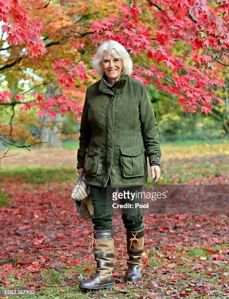 Camilla, Duchess of Cornwall visits Westonbirt, The National Arboretum on October 26, 2020 in Tetbury, England. Westonbirt, The National Arboretum is...