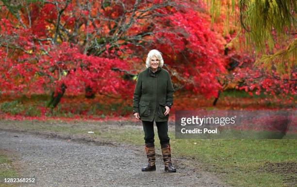 Camilla, Duchess of Cornwall visits Westonbirt, The National Arboretum on October 26, 2020 in Tetbury, England. Westonbirt, The National Arboretum is...