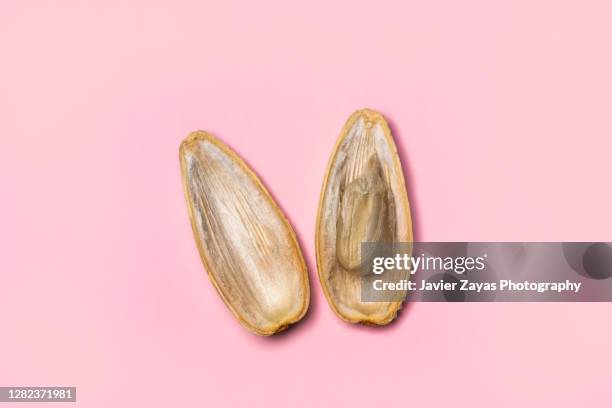 peeled sunflower seed on pink colored background - sunflower seed stock pictures, royalty-free photos & images