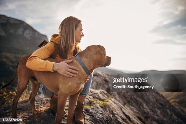 山頂で彼女の犬と女性ハイカー - dog ストックフォトと画像