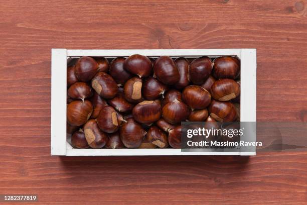 chestnuts - kastanie laubbaum stock-fotos und bilder