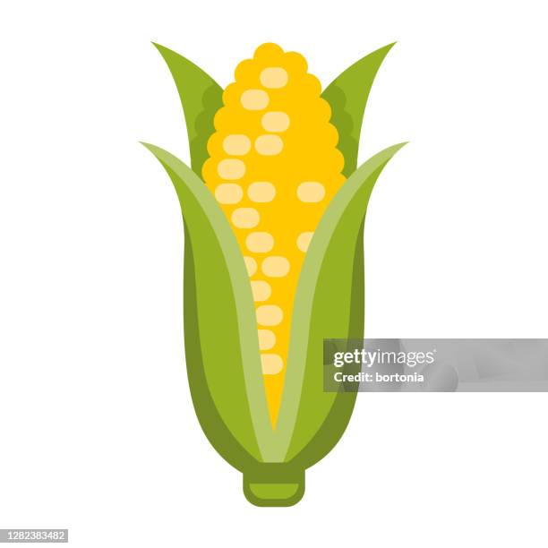 ilustraciones, imágenes clip art, dibujos animados e iconos de stock de icono de maíz sobre fondo transparente - cereal plant