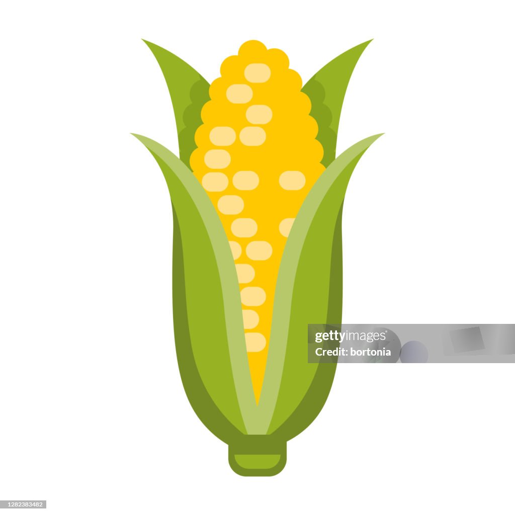 Maize Icon on Transparent Background