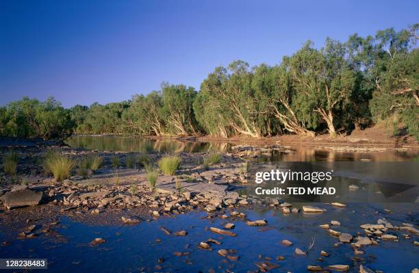 Northern Rivers Victoria 89 Victoria River Northern Territory Stock Photos, High-Res Pictures ...