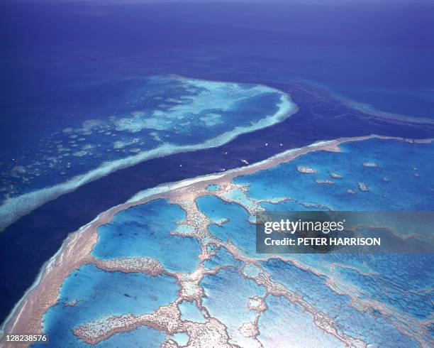 aerial of hardy & hook reefs, great barrier reef, australia - groot barrièrerif stockfoto's en -beelden