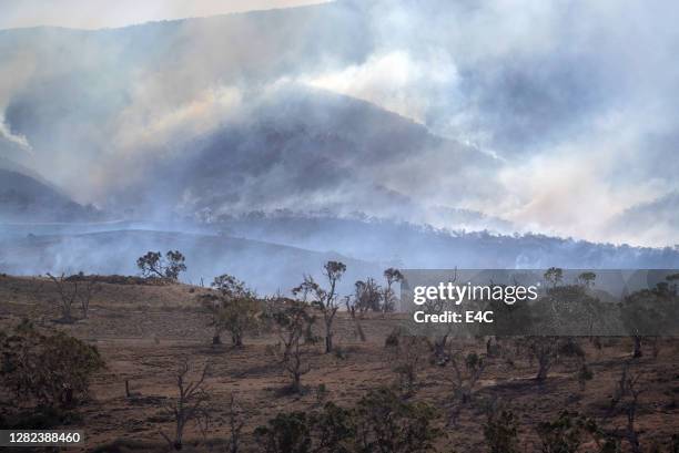 incendies de forêt australiens - brousse photos et images de collection