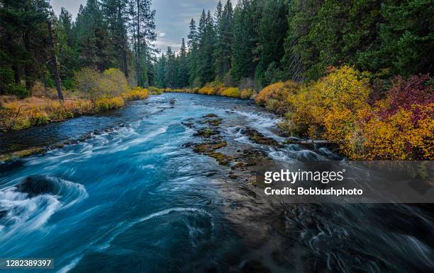 wizard falls on the metolius river autumn in oregon - river stock pictures, royalty-free photos & images