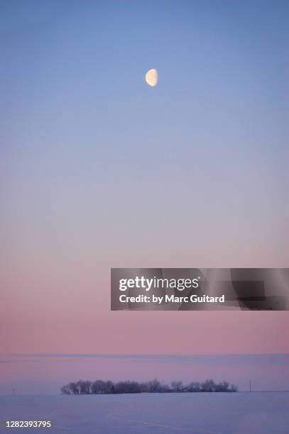 moonrise over the prairies, saskatchewan, canada - nordhalbkugel stock-fotos und bilder